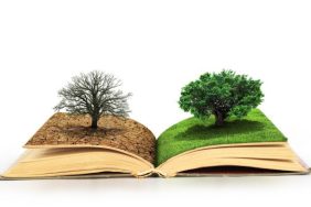 fotolia_113510885_subscription_monthly_m-600x400