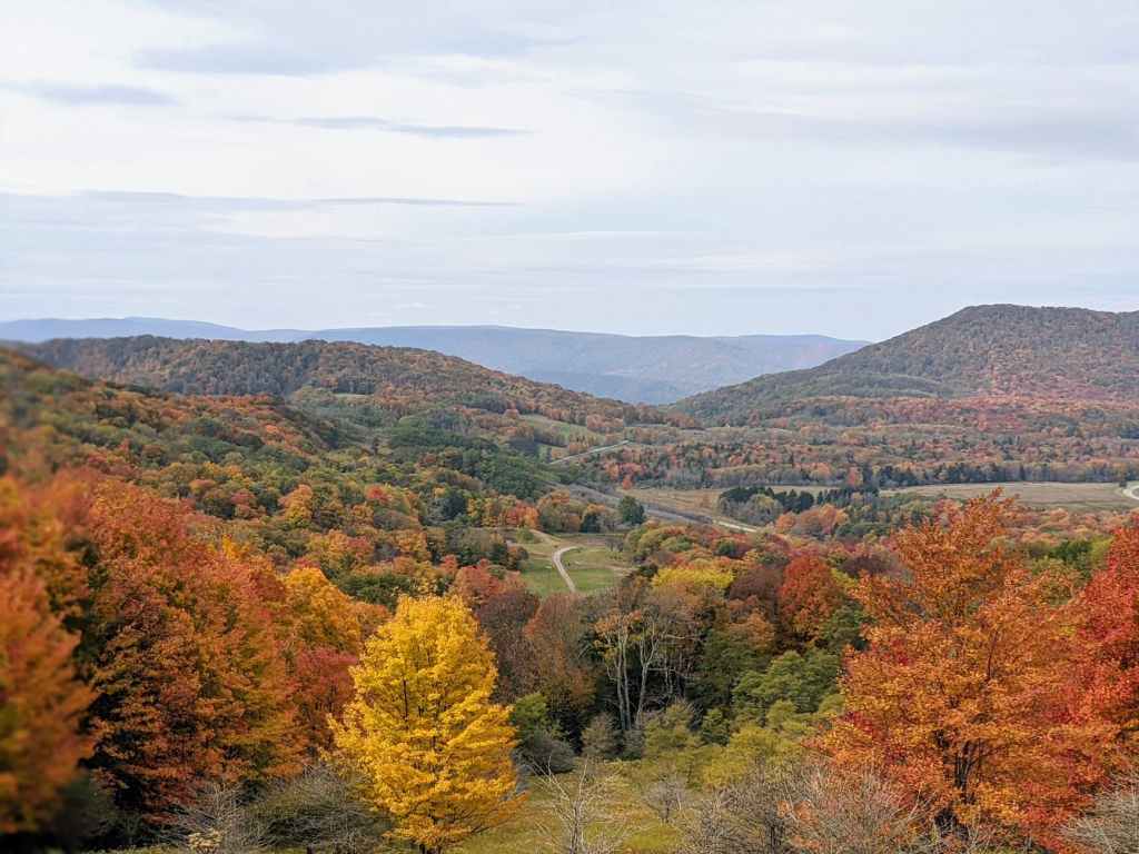 green and brown trees on mountain under white clouds