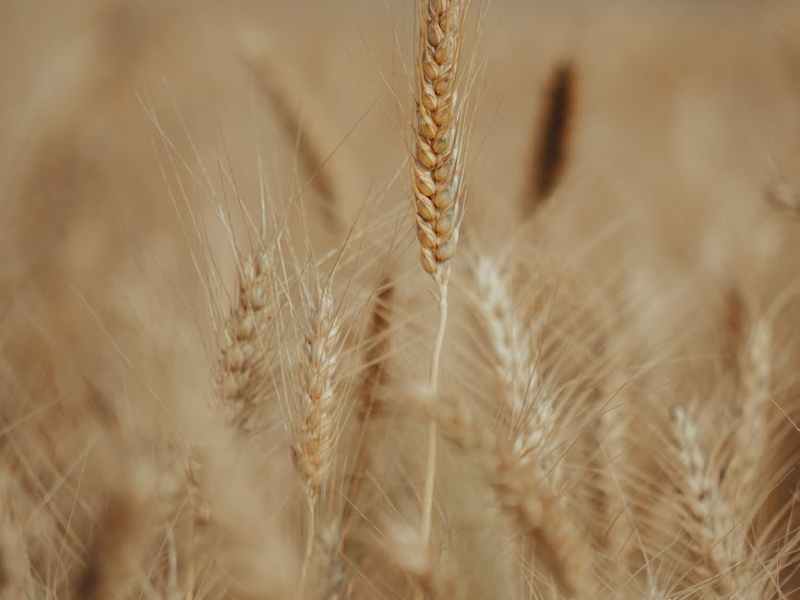 Whose wife will she be… Luke&nbsp;20