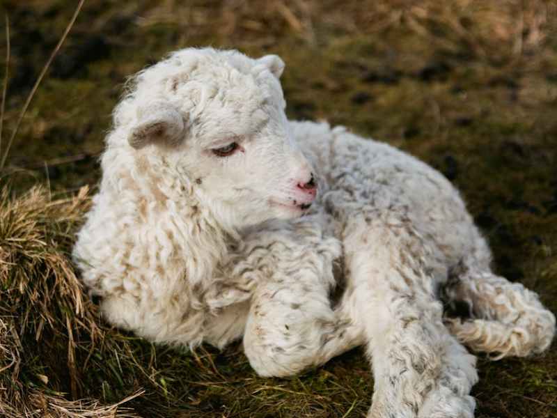 Hate Him First – Luke&nbsp;23