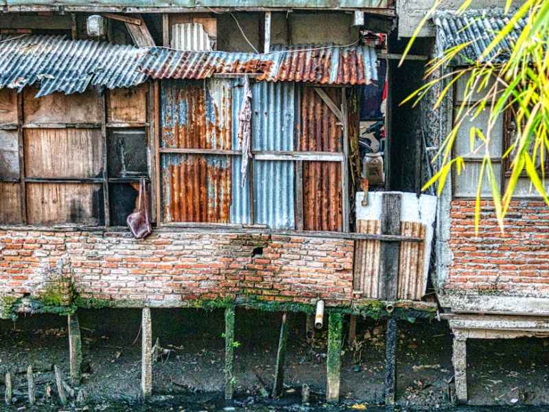 The Shrill Loud&nbsp;Voice