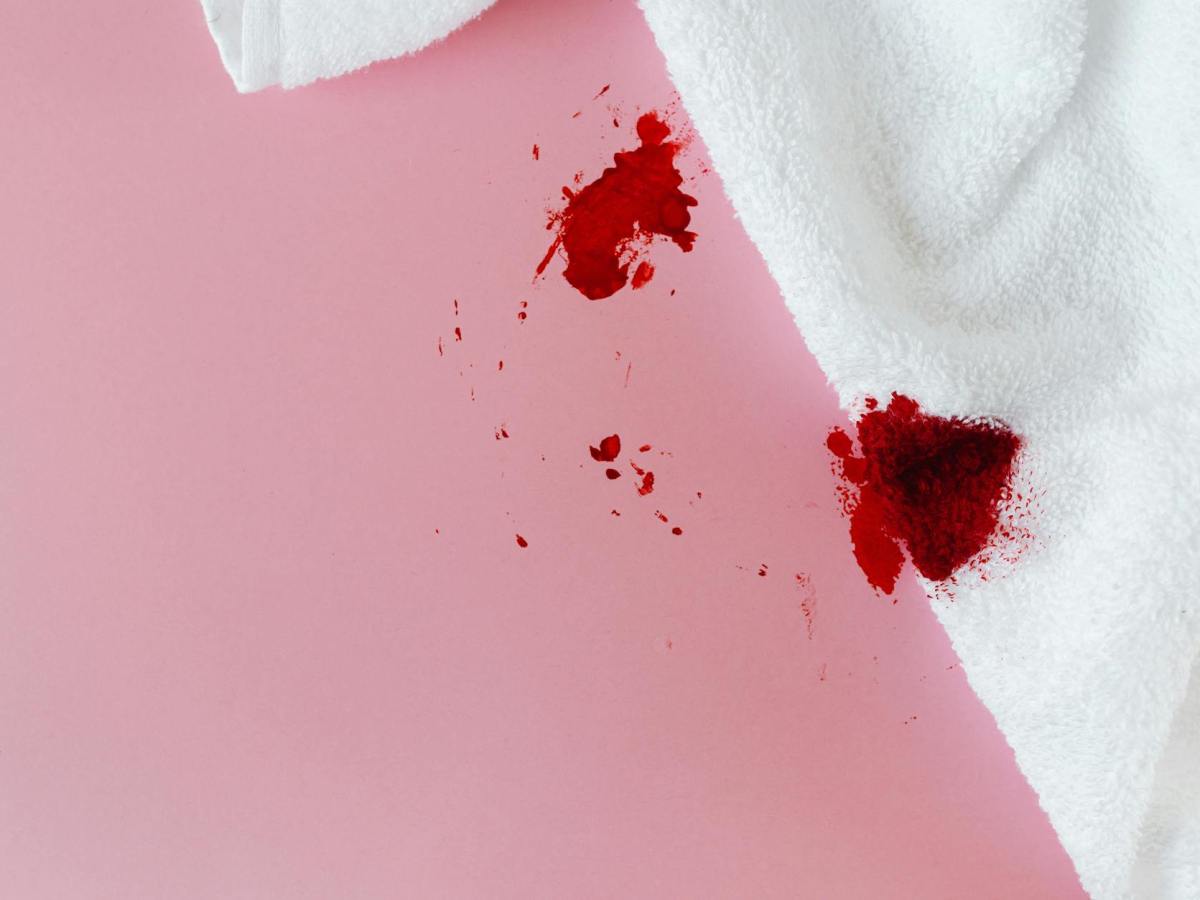Marked by Blood | Kim&nbsp;Blenkhorn
